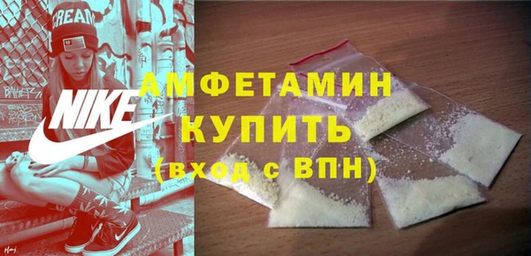 амф Алексин